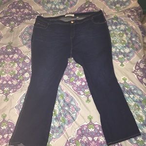Anthropology NWOT! Eve Bootcut Jeans